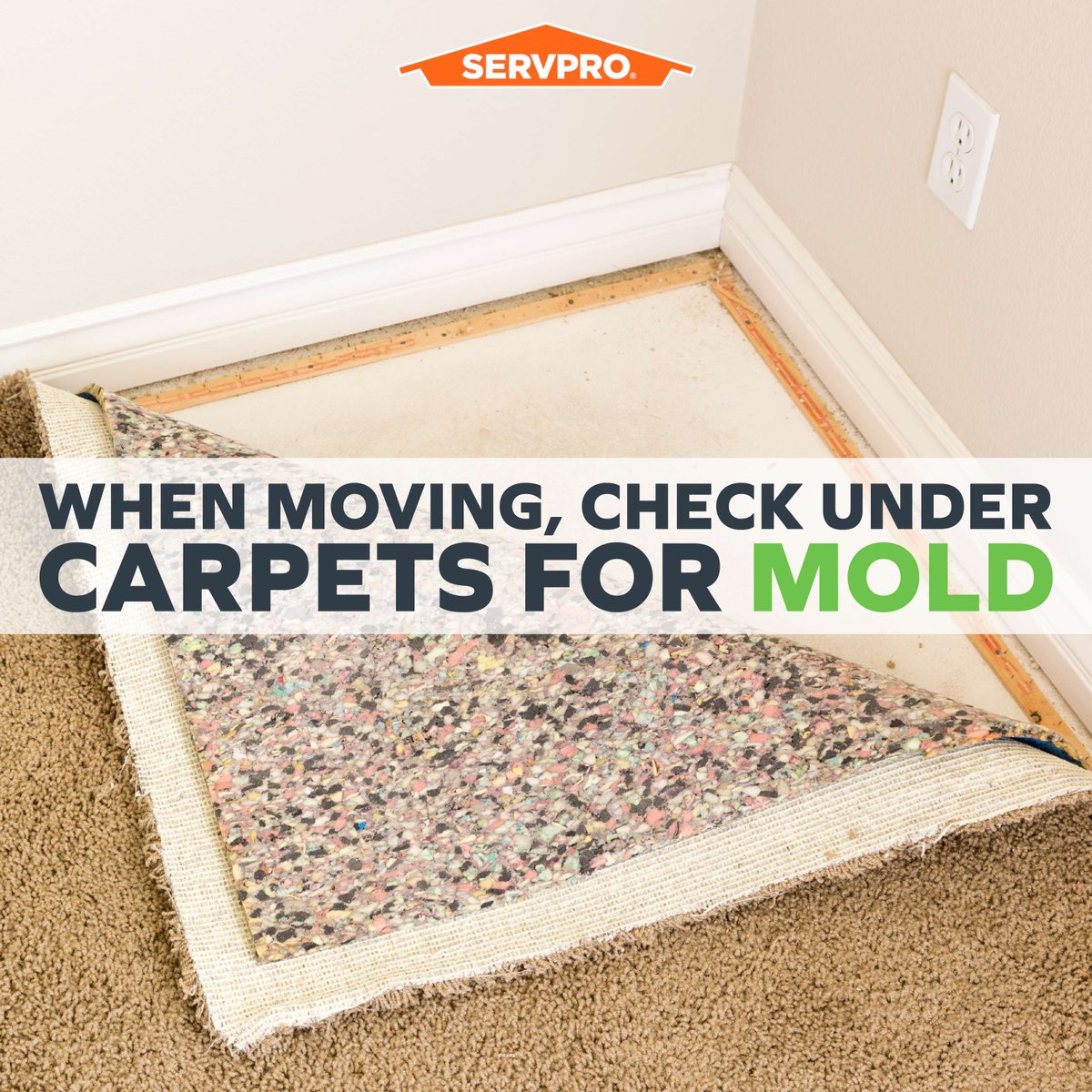 When buying or renting a home it is always good to check under carpets where they meet with outside walls. If the tack strip shows signs of mold growth or rust from water it may be a sign of a larger problem.