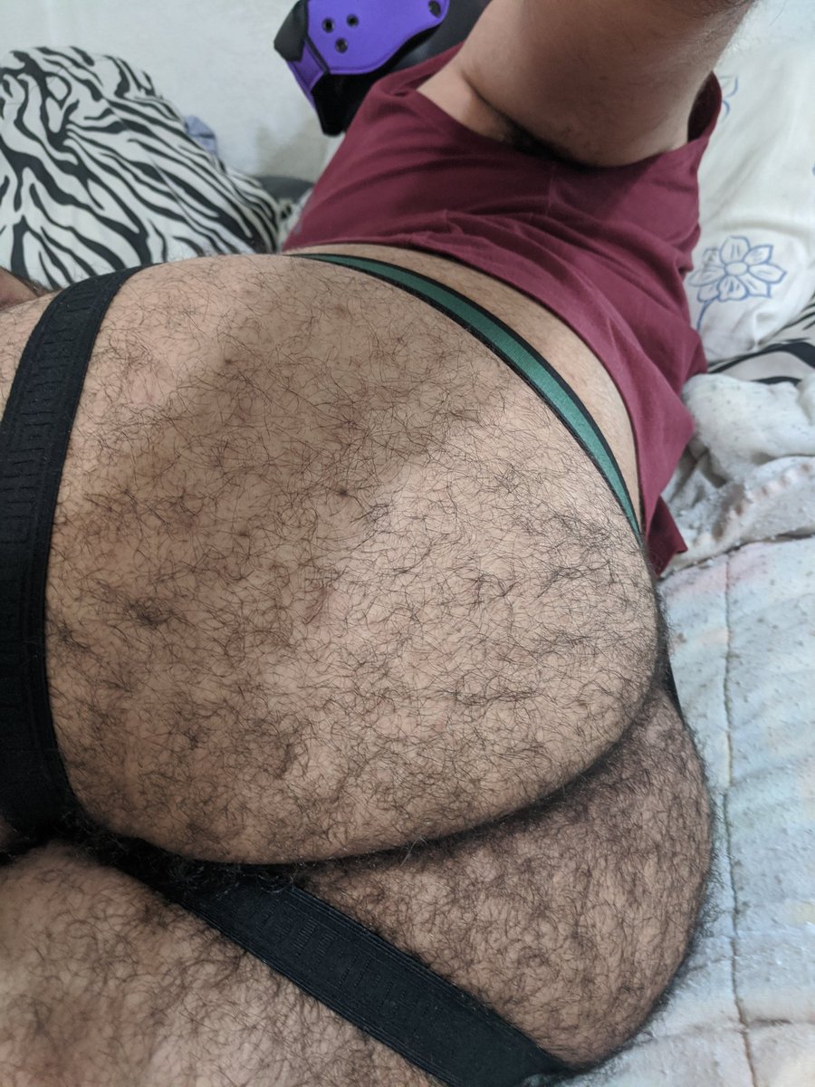 ThatMuskyHusky's tweet photo. @THEKNOTTHOT Here you go https://t.co/fCjVulN9aG