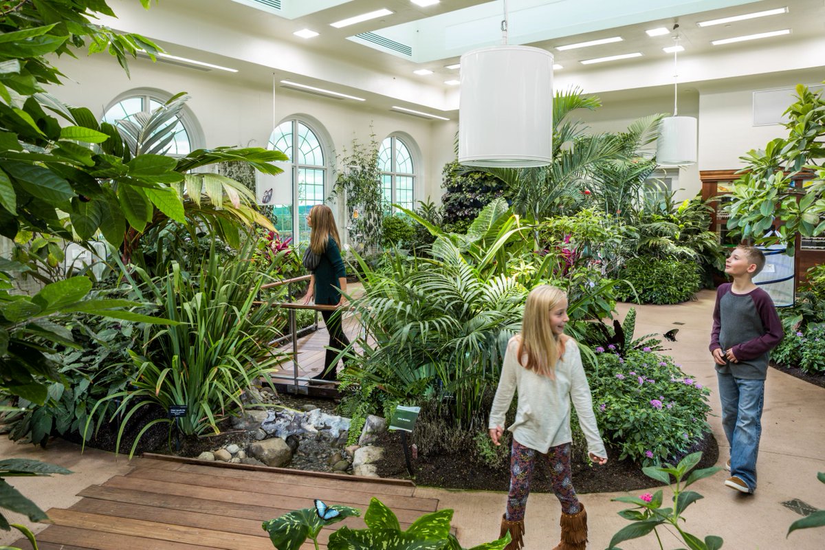 Experience the great indoors this weekend. Neither wind nor rain affects our Butterfly Atrium - it's always dry and a balmy 78 degrees. Best of all, it's aflutter with beautiful butterflies among a lush, tropical setting! #HersheyPA #hersheygardens #butterflies #butterflygarden