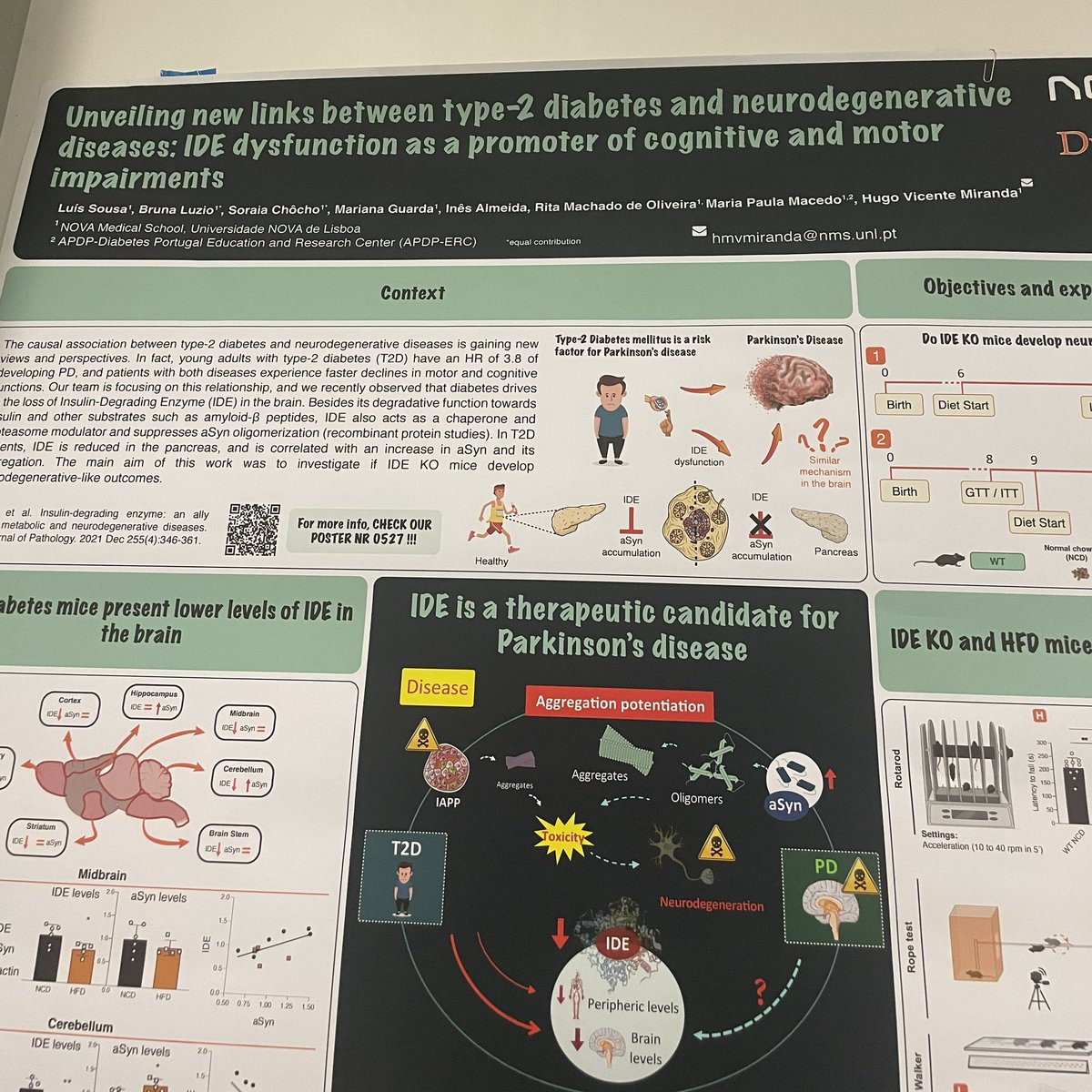 HVMiranda_Lab's tweet image. Hi #ADPD2024 attendees!! Our lab at @nova_medschool is about to open a Postdoc fellowship to work in this exciting project! If you want to know more, visit our posters 510 and 527 and talk with us!!