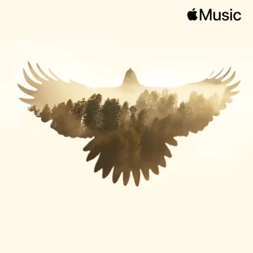 Thank you @AppleMusic for adding Where Can I Go - Psalm 139 to New In Christian and Free Spirit!!!!! 🤎 music.apple.com/us/album/all-o…
