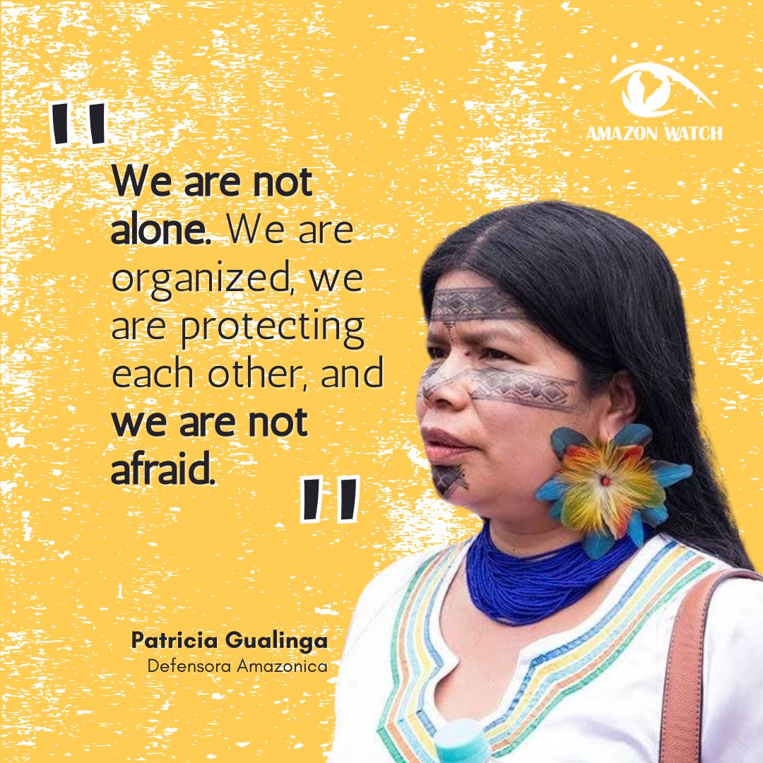 Indigenous women face the direct impacts of gender-based violence, environmental destruction, & climate change yet continue to show up for our Earth. On #InternationalWomensDay, send a message of solidarity to the Women Defenders of the Amazon! @pumahuarmi l8r.it/imsB