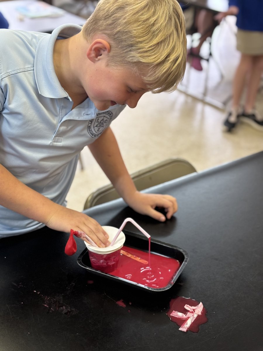 Our @laurelchristian students had fun learning about HEALTH!🩺 These students made a model heart and a circulatory system model.🩸🫀 #STEMlearning #creativity #partnership