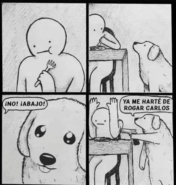 DiloConPerritos's tweet photo. Estoy harto, Carlos. https://t.co/63LIjoFcIp