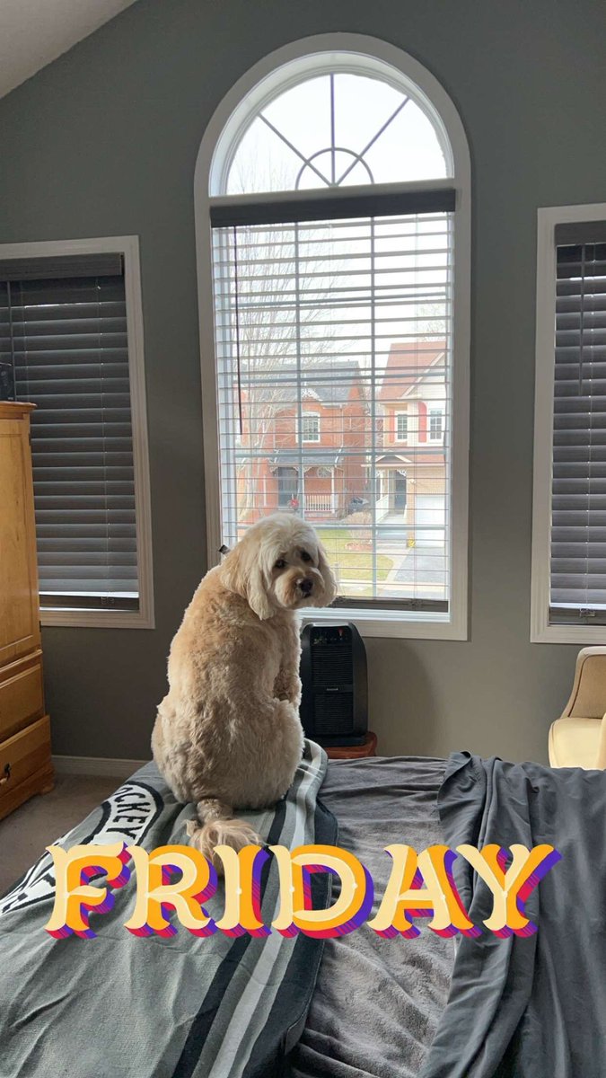 Beau Has It Figured Out...