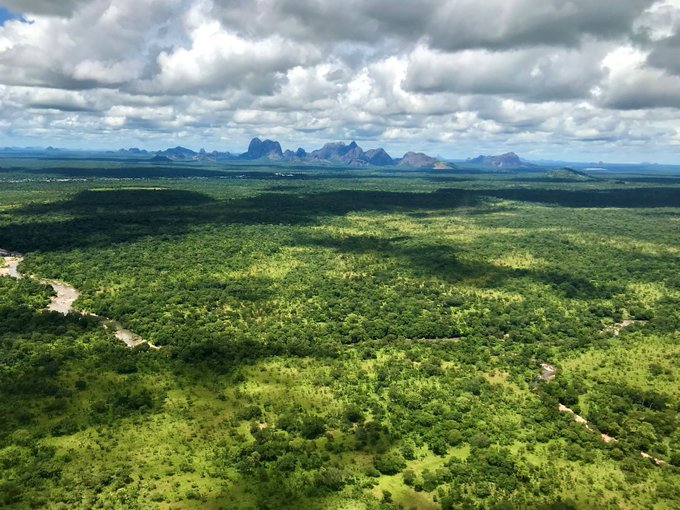 UNBiodiversity's tweet photo. Thanks to an innovative integrated approach combining work in the field with #digital technologies, #SBAPP combines #biodiversity conservation & territorial planning to fight #climatechange in Southern Africa.
📌More info 🔽
https://t.co/LFGL2Usqcq
Via @FFEM_Fr https://t.co/VtZWwWAgMK