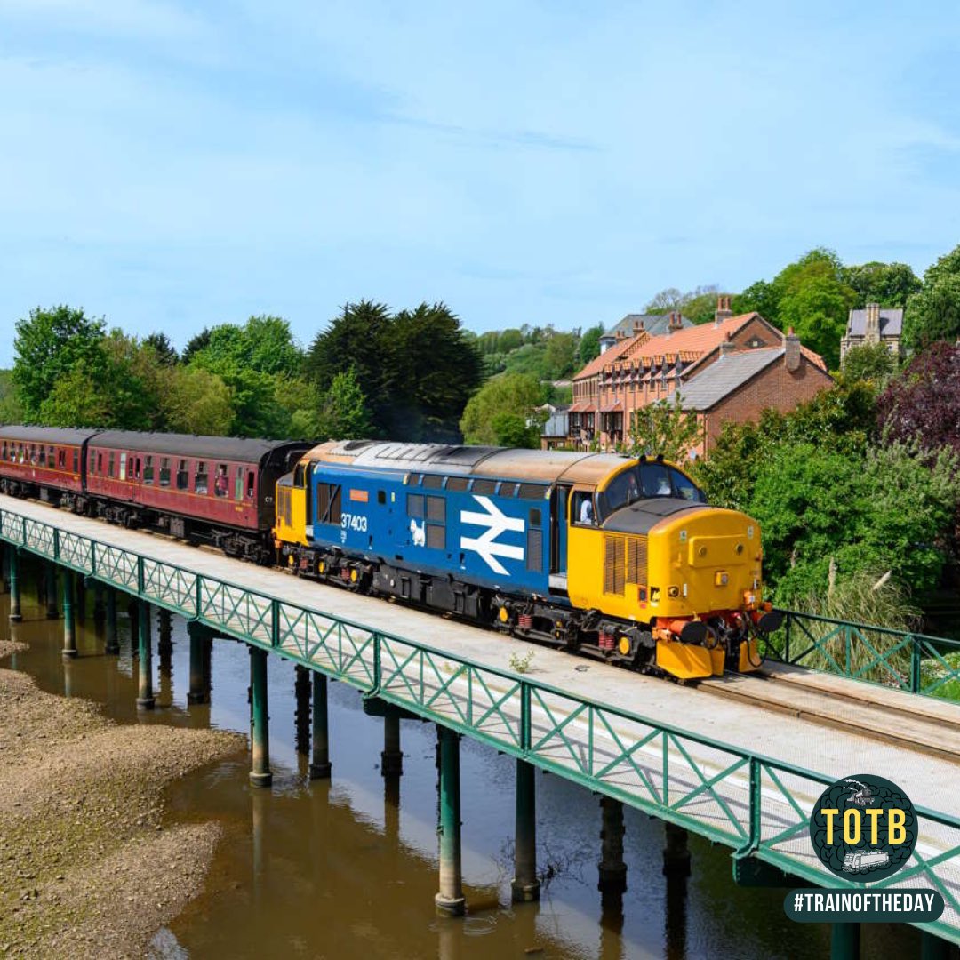 🚆 This is 37403 ‘Isle of Mull’ - a brilliant beast. 

🔵 The locomotive turns 60 next year. Six decades of hellfire 🔥

⭐️ 14/10 - Mulling it over. 

📸 RailAdvent 

#trainoftheday #totb #trains #railways #diesel #dieselengines #diesellocomotives #class37 #tractors