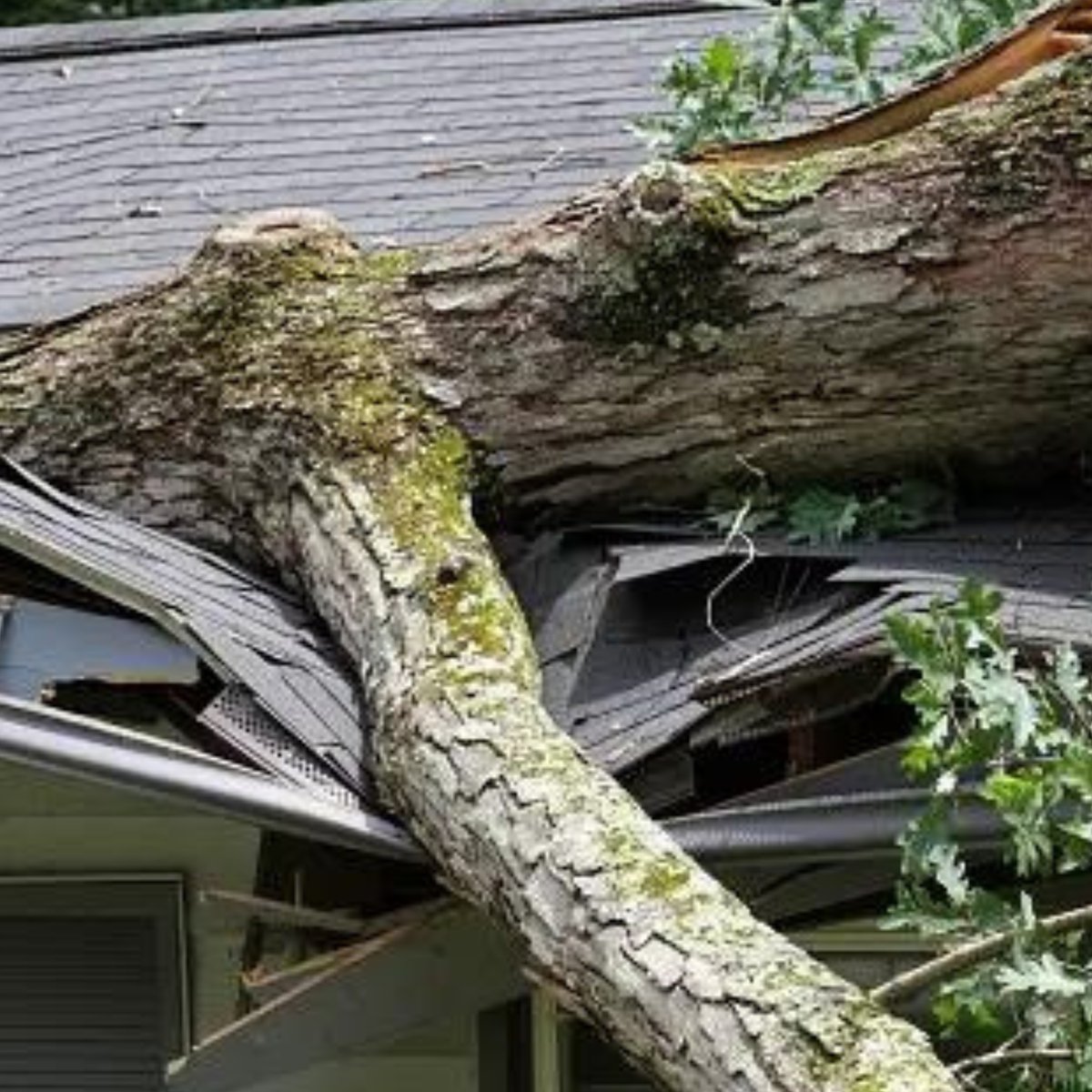 agape_earth's tweet photo. 📊 Previous research highlights the importance of prioritizing pre-disaster prevention in addressing climate-related #lossdamage. We must prioritize the relevance of targeted funding and technical support to empower developing nations to build #resilience and #adapt. https://t.co/acjTbmvDrV
