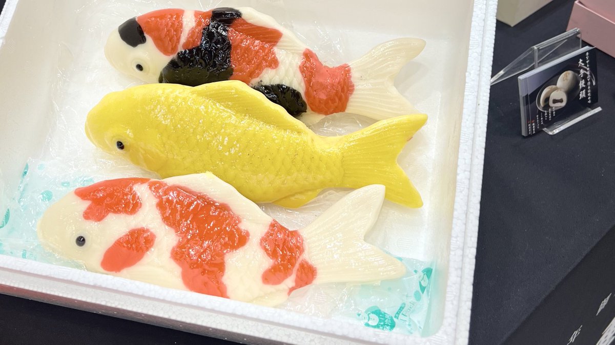 teadropsdear's tweet photo. パンダンの香りと熱気想起の紀行展 #アセアンセンター @OtoFurukawa
著者さまデザイナーさまとのお話しは、マレーシア数日で感じた私の謎を4年滞在+35日間深掘り取材で糸口繋いでいただいた感。色彩溢れる時間に多謝🙏
潮流識る #foodex #ZEROCO +和彩
昨日は2会場で聴講でした
#お茶活 #お菓子 https://t.co/zpyoYMJ3d4