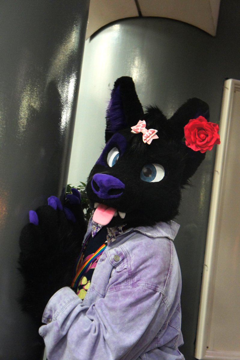 some pics from the last LFM!
#londonfurs
feat. <a href="/Ty_Wuff/">Tyler Wolfdog</a> &amp; <a href="/MoxxieHellhound/">Mo❌❌ie 2.0 🇨🇦 🔜 CFZ!!!</a>
