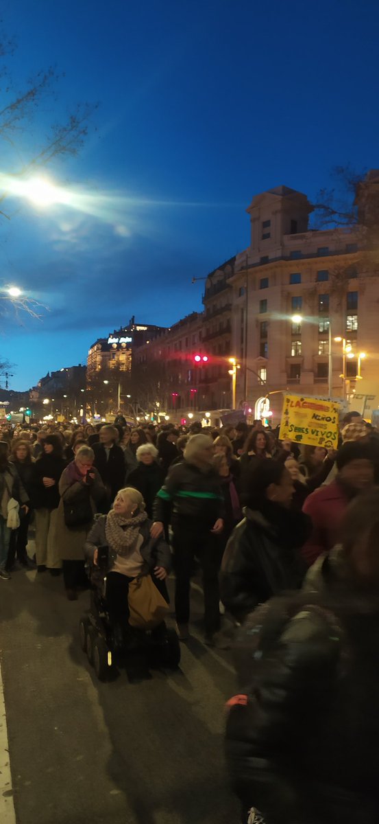 evelyn7am's tweet photo. Esta manifestación partió desde Paseo de Gracia y culminó en el Arco del Triunfo. Algunas tiendas de Paseo de Gracia aprovecharon este momento para iluminarse de color violeta, incluyendo la Casa Batlló. #8marzo2024 #Barcelona https://t.co/Fx7tr04orp