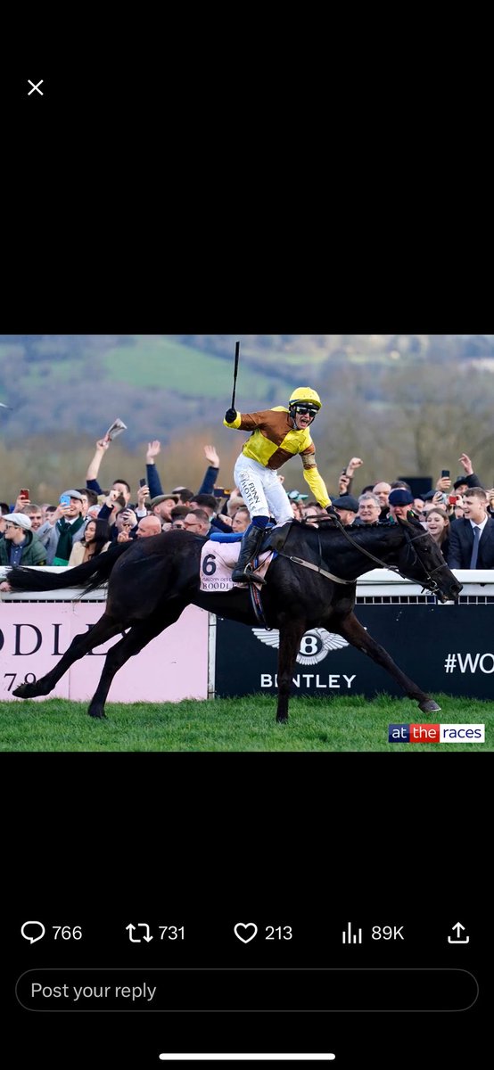 GGthomas14's tweet photo. @AtTheRaces @PTownend https://t.co/ztueGzfUC7