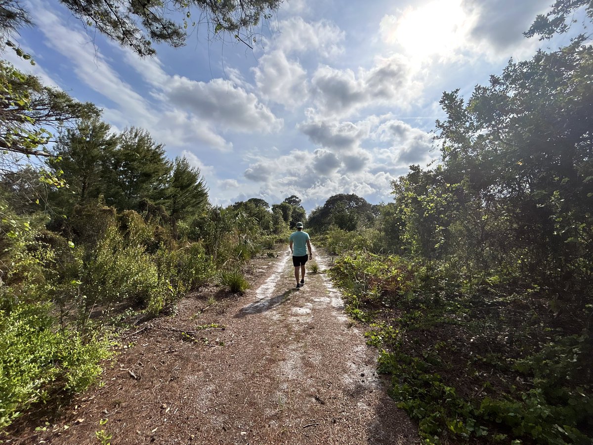 SammyHadiWx's tweet photo. Out exploring 217 acres of endangered Oak Scrub this afternoon.
Made a little friend out here, a gopher tortoise. This adorable species is listed as threatened here in South Florida due to widespread habitat loss.
@UF_IFAS #FMNP https://t.co/tzG9Ude1m9