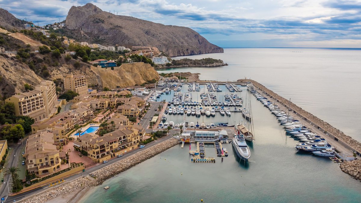 Freedom Boat Club tweet media