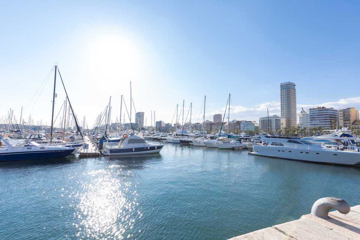 Freedom Boat Club tweet media