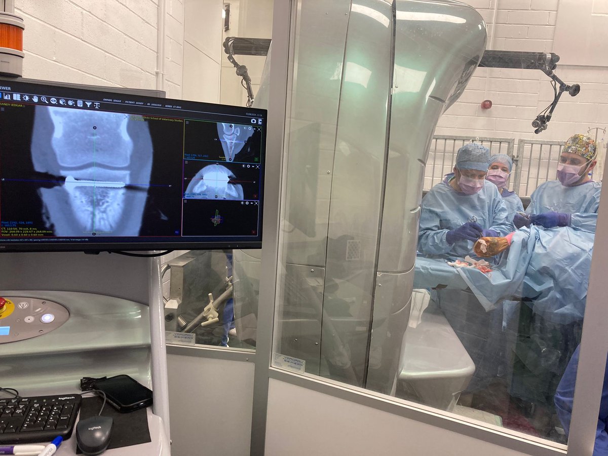 Today we delivered a two hour orthopaedic tutorial to 140 students, did two surgical colics and a CT guided <a href="/IMVimaging/">IMV imaging</a> pedal bone fracture repair, plus much more and it’s early yet! It takes exceptional people and teamwork to achieve and maintain this.  <a href="/TheDickVet/">The Royal (Dick) School of Veterinary Studies</a> <a href="/EdinburghUni/">The University of Edinburgh</a>