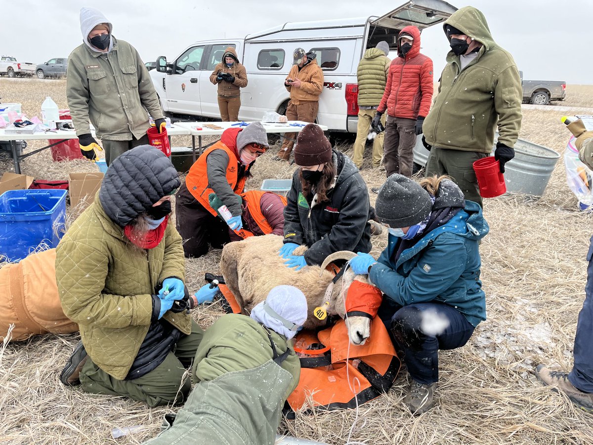 Bill Severud tweet media