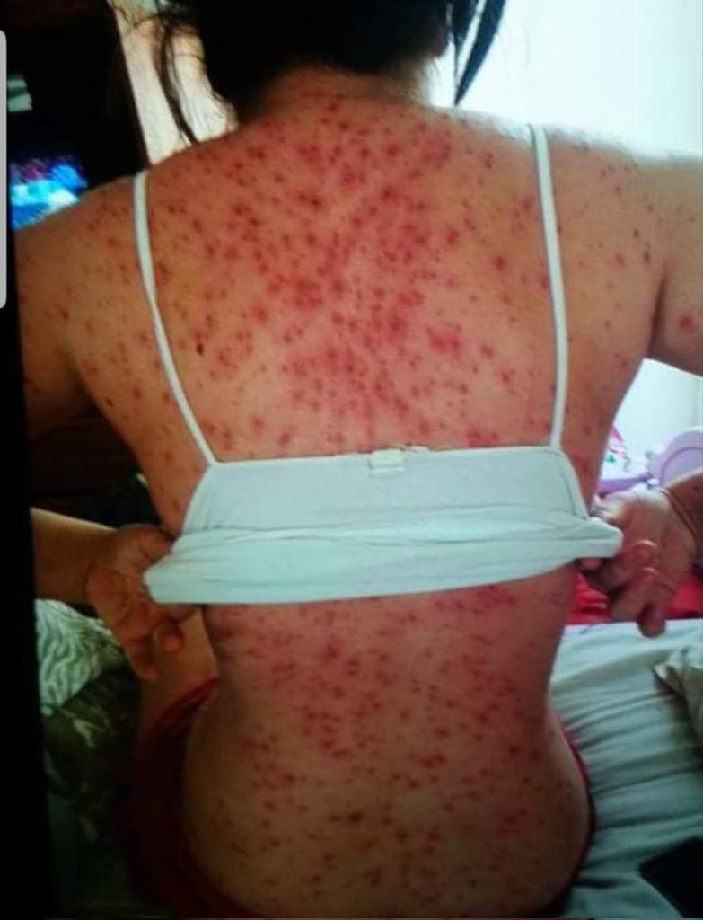 Jessica Rojas 🇺🇸💪 tweet media