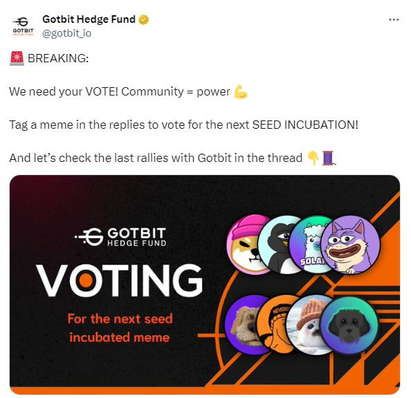 SHIBWIFHAT ARMY tweet media