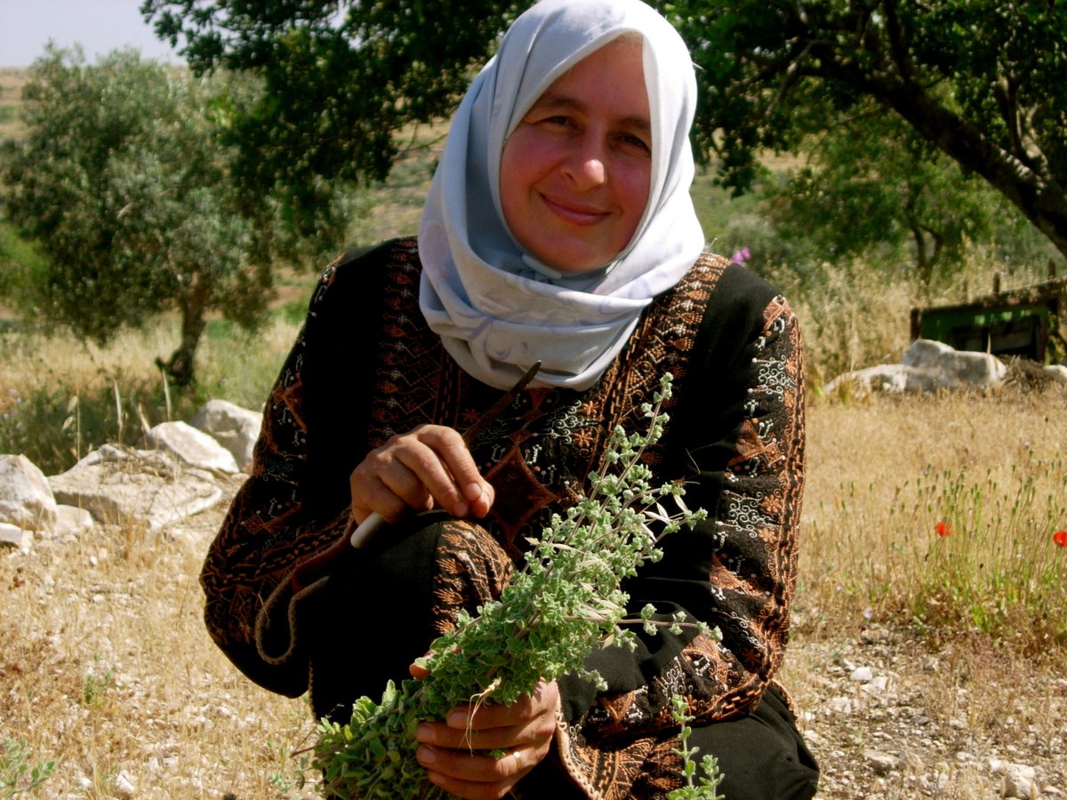 On International Women's Day and every day we give thanks to the incredible women of Canaan Palestine who forge a better world for all. As a Fair Trade company, Canaan supports our female farmers and their advancement in the workplace and in society. #InternationalWomensDay