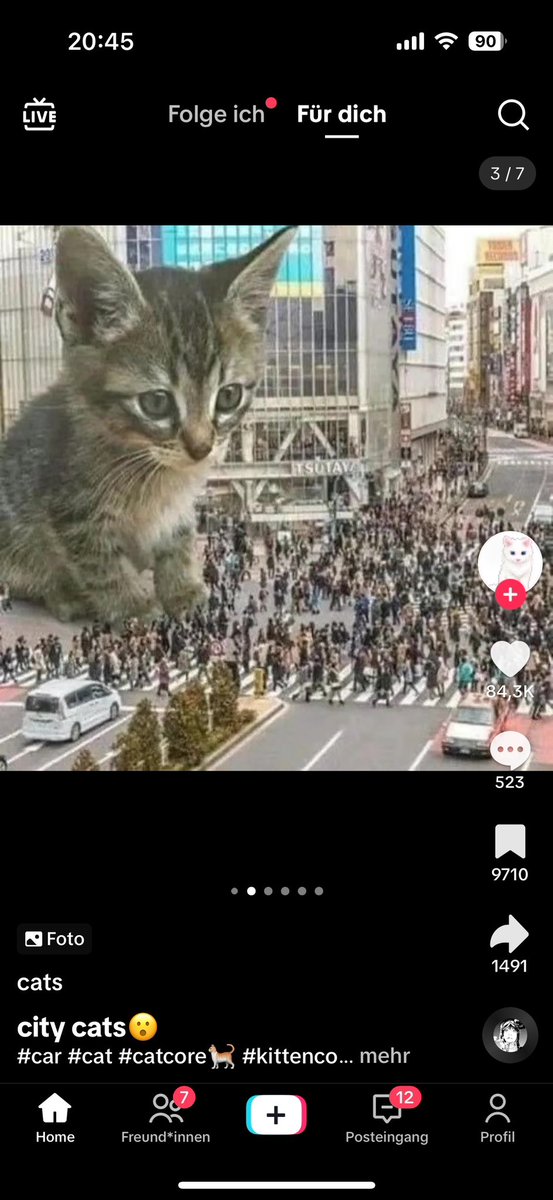 dave save tweet media