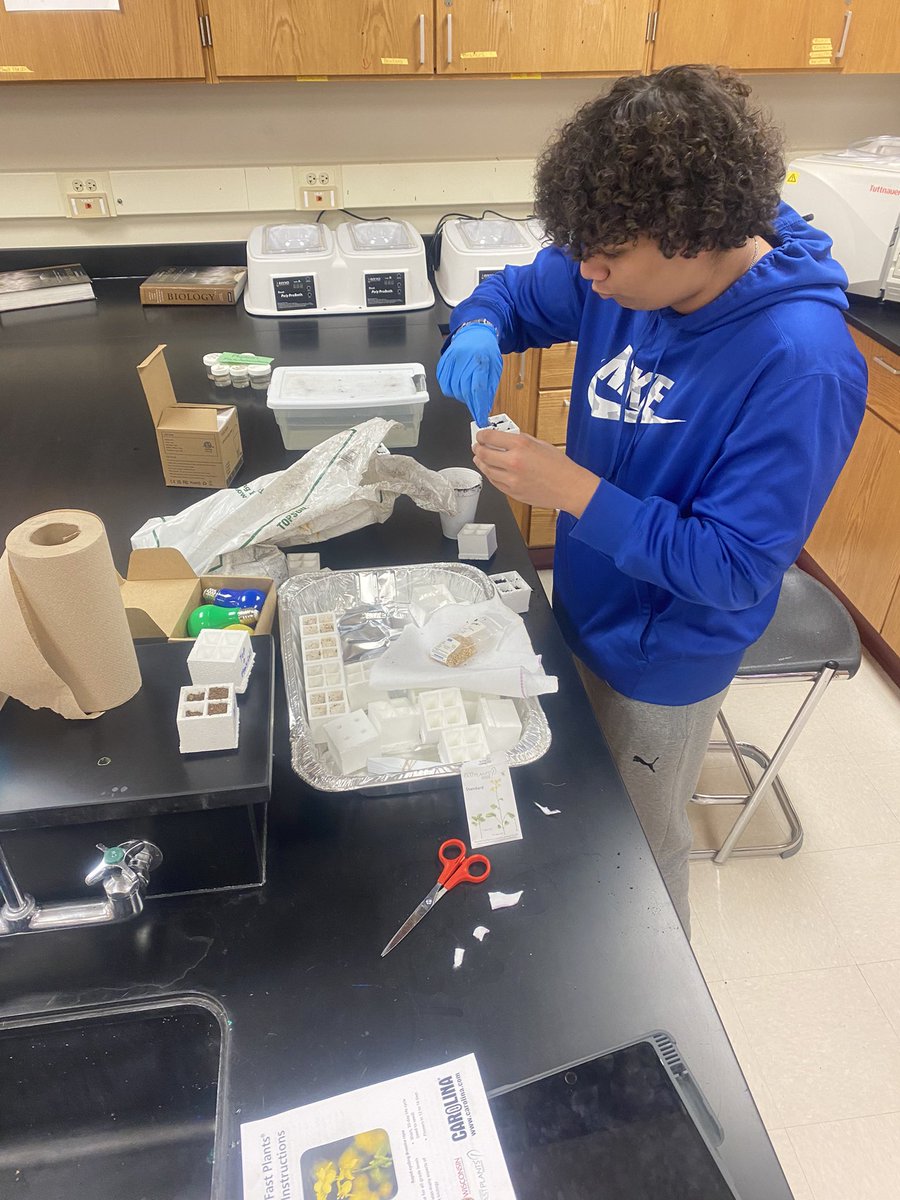 LTurngren's tweet image. Ss in the BHS G.E.M science class are hard at work setting up their  experiments! From the chemistry of the hair care industry, to measuring Daphnia heart rates, to observing radioactive decay….we have it covered! #ownyourlearning @BarringtonHS220 @DrMelissaByrne @BHS_Principal
