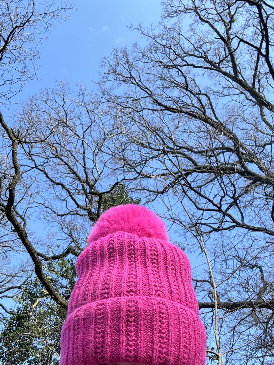 I like to think spring is on its way 🌷we have seen some blue sky this week and some sun☀️ but also a little too much mud, as glorious as it is, I’d like that golden ball in the sky to dry some of it up and shine for a few more hours a day 🙄😍