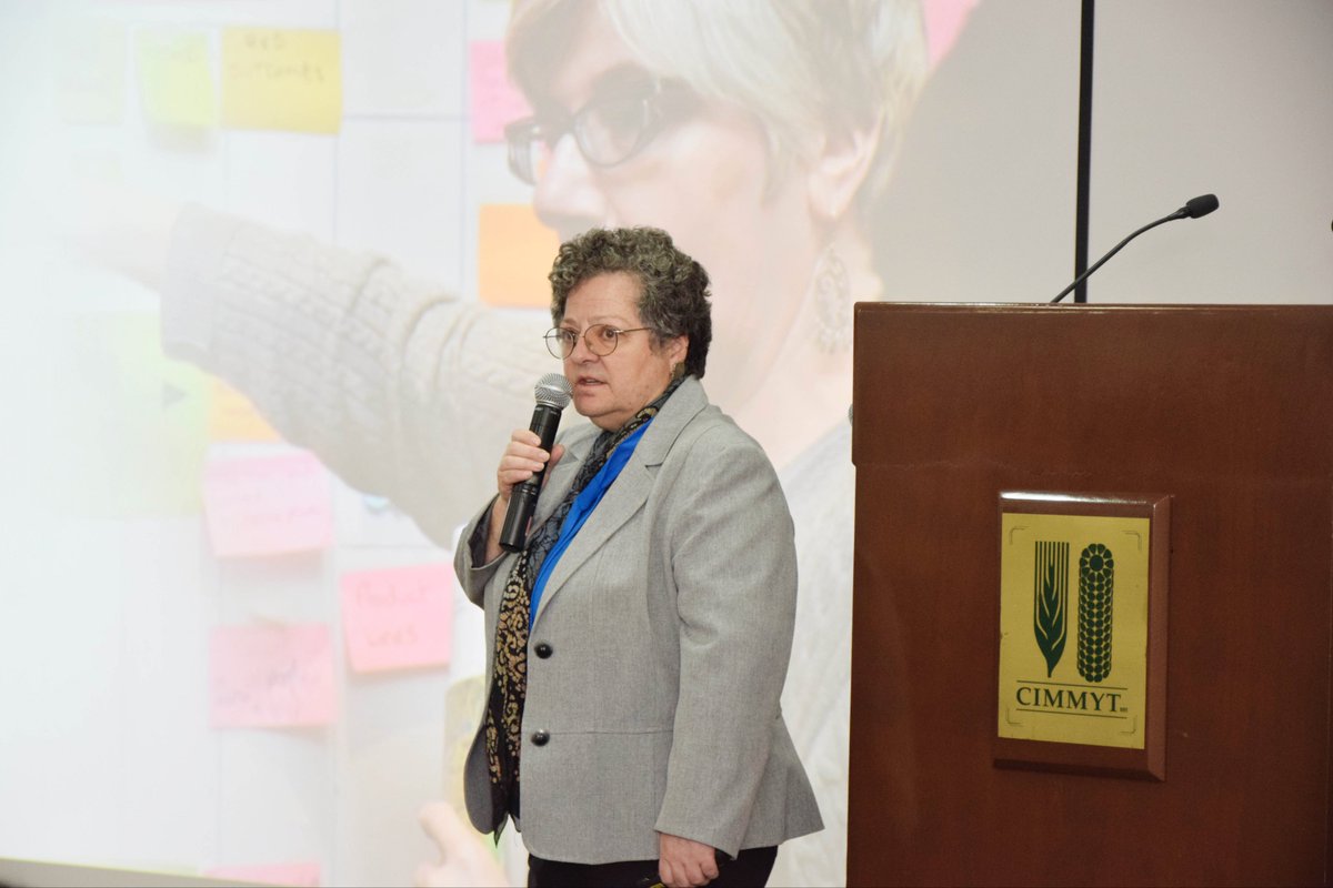 Sieg_SAS's tweet photo. Paula Kantor is a true Shero, she put her life on the line for women, marginalized people everywhere. Every day I see the amazingly resilient tree that honors her life in front of @CIMMYT HQ. The Paula Kantor Gender and Development hub will carry on her legacy! #iwd2024 https://t.co/Hr0cMVR99m