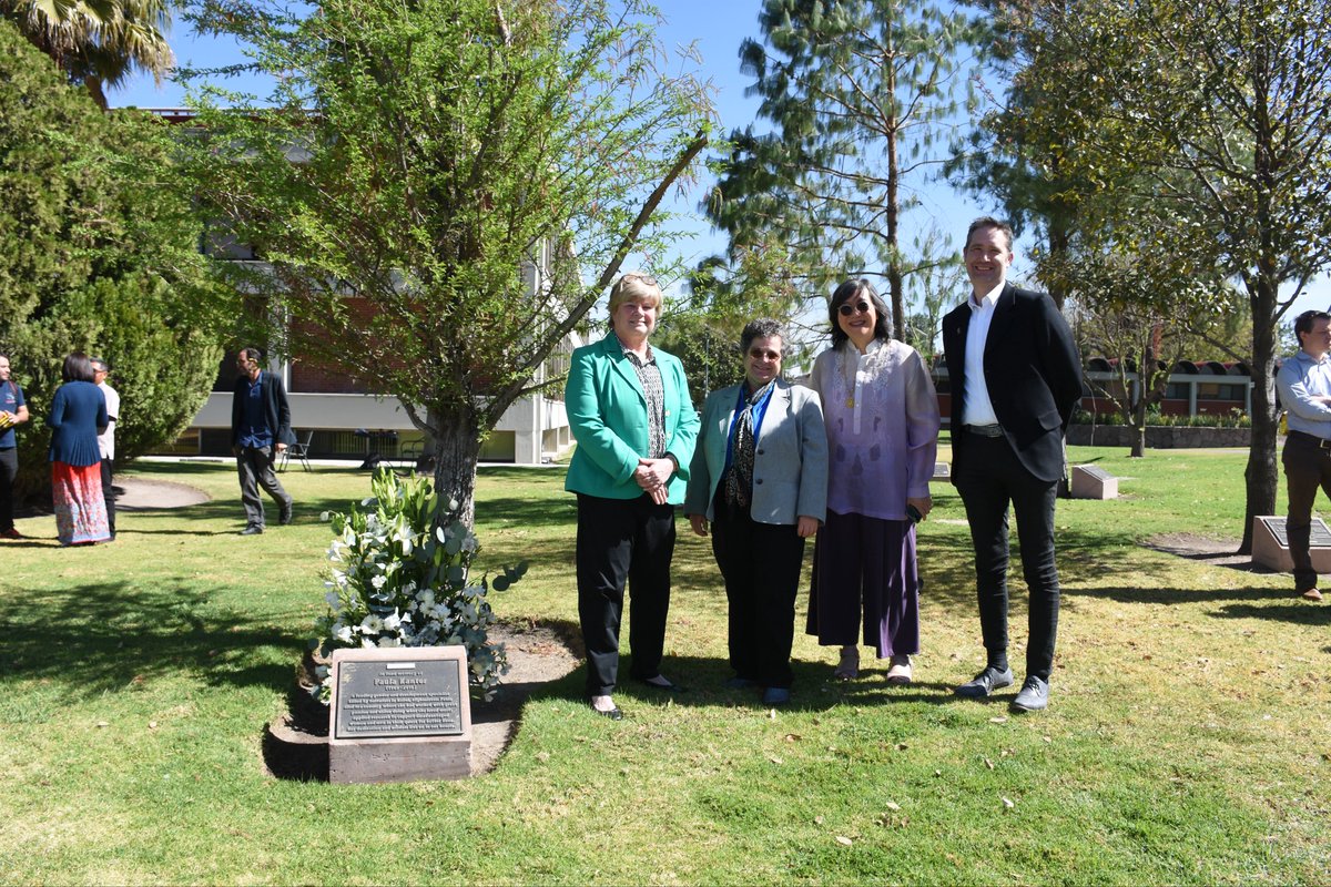 Sieg_SAS's tweet photo. Paula Kantor is a true Shero, she put her life on the line for women, marginalized people everywhere. Every day I see the amazingly resilient tree that honors her life in front of @CIMMYT HQ. The Paula Kantor Gender and Development hub will carry on her legacy! #iwd2024 https://t.co/Hr0cMVR99m