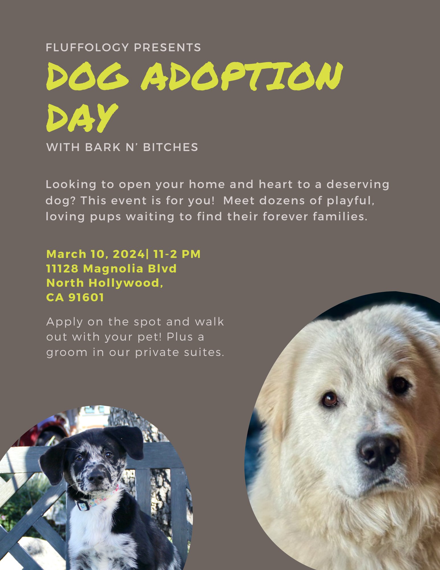 Bark adoption hotsell