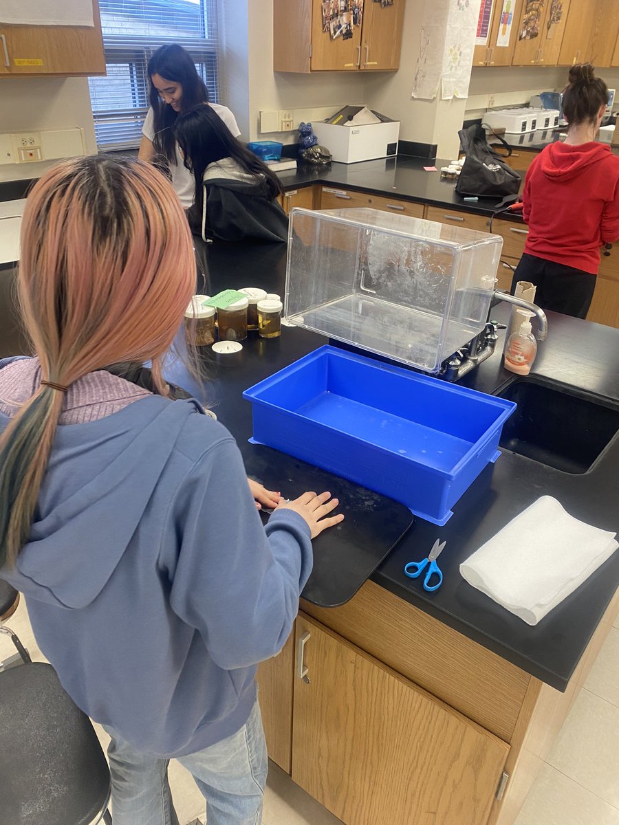 Laura Turngren tweet media