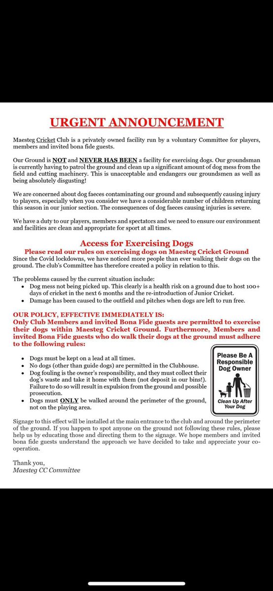 Maesteg Cricket Club tweet media