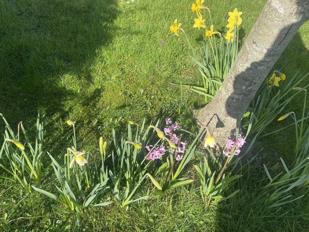 jackiemcguin's tweet photo. Day 68/1895 #100daysofwalking #1900daysofwalking #365crew a blustery walk to vote this morning https://t.co/ox4ZP3RZwE