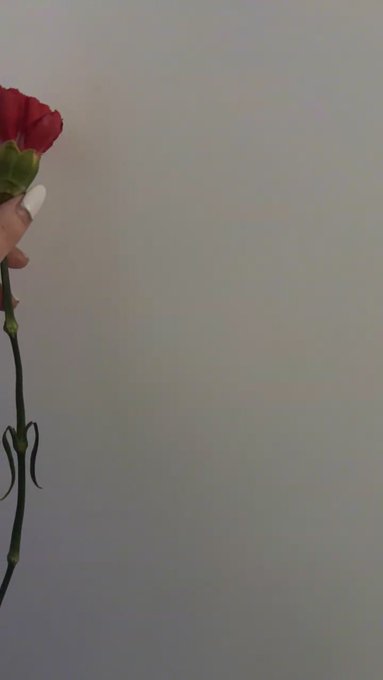 kit is live now! https://t.co/1PhjWE96Gm https://t.co/1IHUdHb6gY<a href="/tag/onmfc"class="tags"><span>#onmfc</span></a>