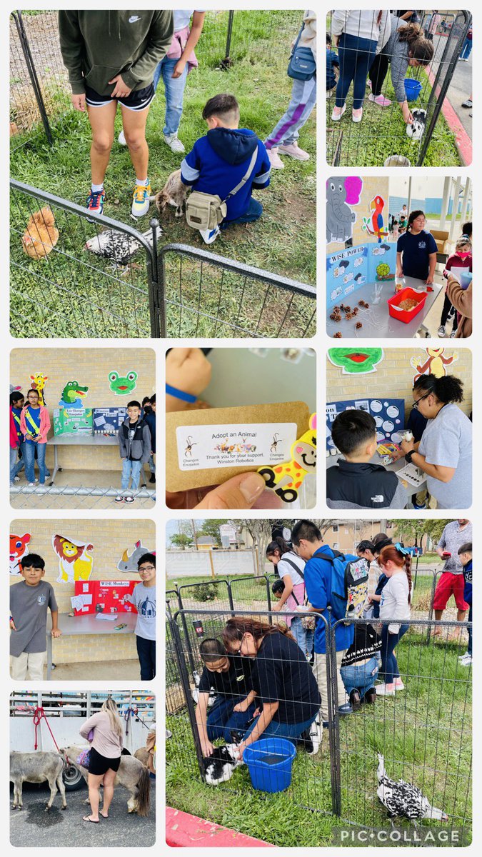 Ana Cantu (@anacantueisd) on Twitter photo A Day at the Zoo with <a href="/Winston_ISE/">Winston Intermediate School of Excellence</a> looks like this! Thank you #WISERobotics for this hands-on project experience! <a href="/TheInstituteSA1/">TheInstituteSA</a> <a href="/dra_snsanchez/">sonia n. sánchez</a> <a href="/RosaSolis2127/">Rosa Solis, M. Ed.</a> A Day at the Zoo with <a href="/Winston_ISE/">Winston Intermediate School of Excellence</a> looks like this! Thank you #WISERobotics for this hands-on project experience! <a href="/TheInstituteSA1/">TheInstituteSA</a> <a href="/dra_snsanchez/">sonia n. sánchez</a> <a href="/RosaSolis2127/">Rosa Solis, M. Ed.</a>