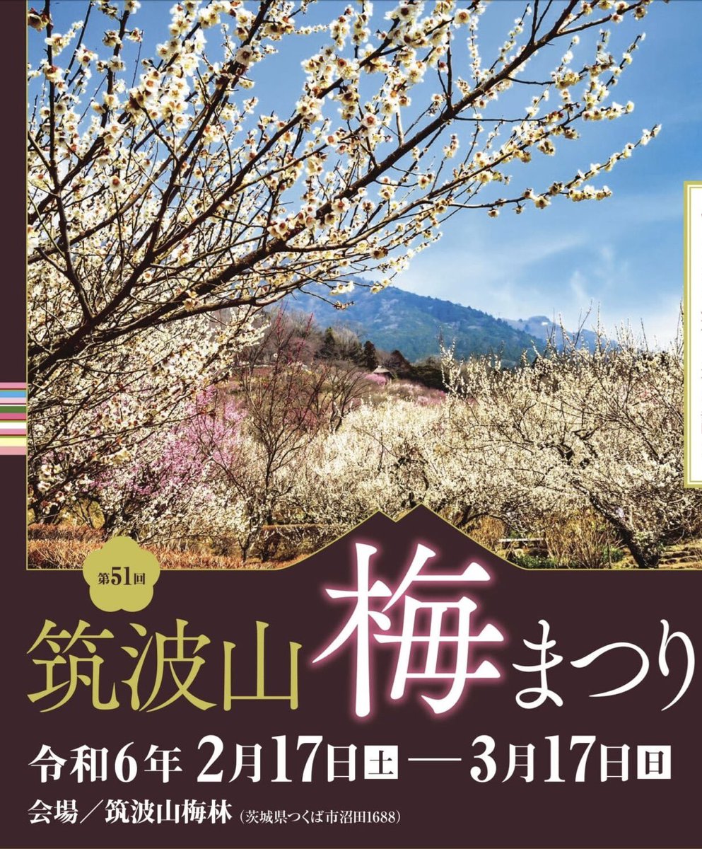 2983edoya's tweet photo. 本日3/9（土）も筑波山梅林にて
おしるこ  茶屋を9:00〜16:00営業します🈺

本日はお隣で
つくばワイン・ビールフェア🍷🍻も
開催されます
詳細はは次のとおりです✨
日　　　時：令和６年３月９日（土）１０：００～1５：００
場　　　所：筑波山梅林　おもてなし館前広場 https://t.co/zWkj9gkUjS
