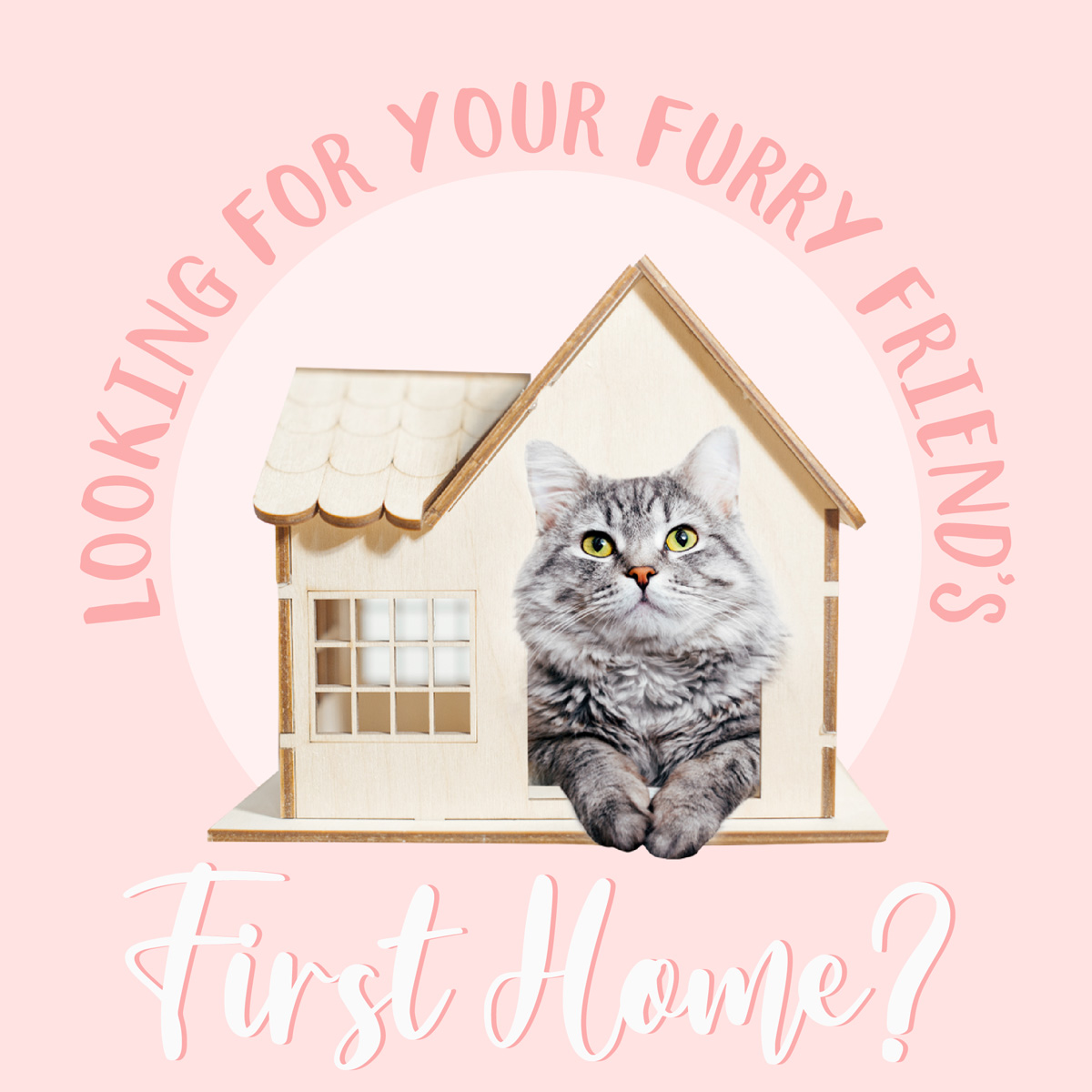 Eva19Hall's tweet photo. Thinking about buying your first home? Don't do it alone. I'm a local mortgage expert who can help you every step of the way. Message me to get started. https://t.co/FxyAZDofDr