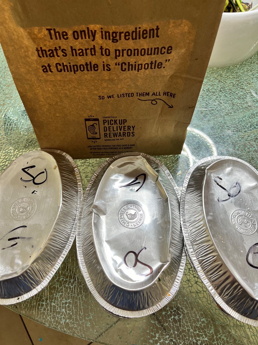 AMPphetamineRx's tweet photo. Everything working smoothly , @FlexaHQ is flexing, @ampera_xyz is amping, @ChipotleTweets is delicious and paying with @circle usdc was easy #paywithflexa https://t.co/15B9QYfotD