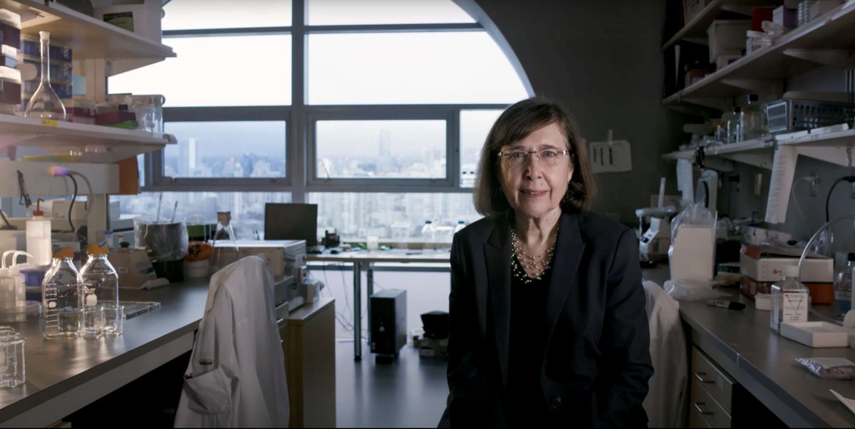 It is with heavy hearts that we share the passing of distinguished scientist and pioneer, Dr. Connie Eaves.

Her ground-breaking research and advocacy for more women in STEM will have a profound impact for generations to come.

Learn more: med.ubc.ca/news/rememberi…
