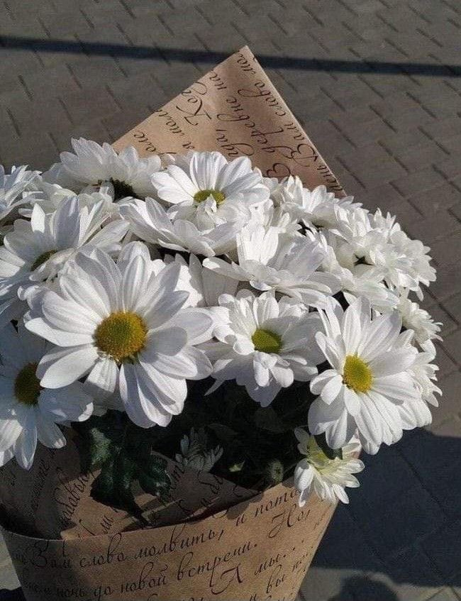 ⠀⠀
⠀    ⠀ʚ  '⍴edіძօ : buquê de margarida

⠀⠀⠀𖦹 ძᥱ⠀    : bbarney

⠀⠀⠀𖦹 ⍴ᥲrᥲ   : @barneviado

    ⠀⠀ʚ 💌 ɞ    : feliz dia da mulher querida!
⠀⠀