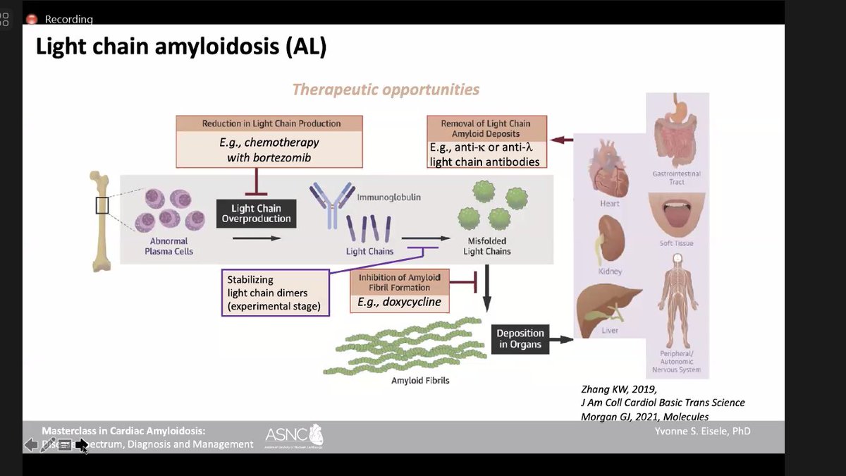 Dra. Isabel Carvajal. tweet media