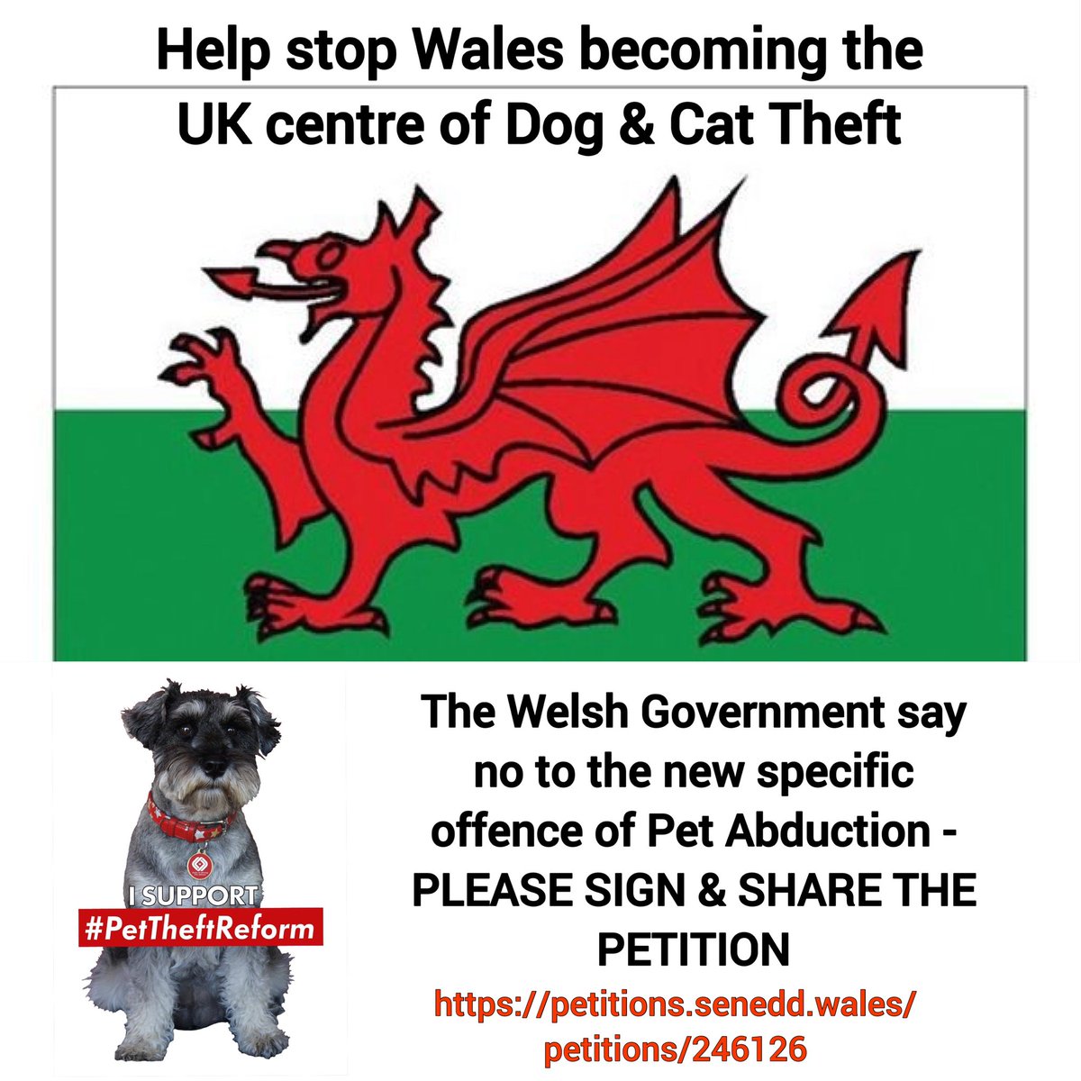 The @WelshGovernment say NO to introducing the specific offence of #PetAbduction in their #AnimalWelfarePlan PLS SIGN & SHARE this important #Petition Anyone from the #UK can SIGN on this link: petitions.senedd.wales/petitions/2461…
