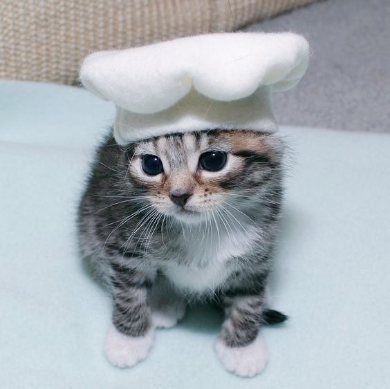 💫𝓓𝓪𝓷𝓽𝓮 ฅ^•ﻌ•^ฅ tweet media