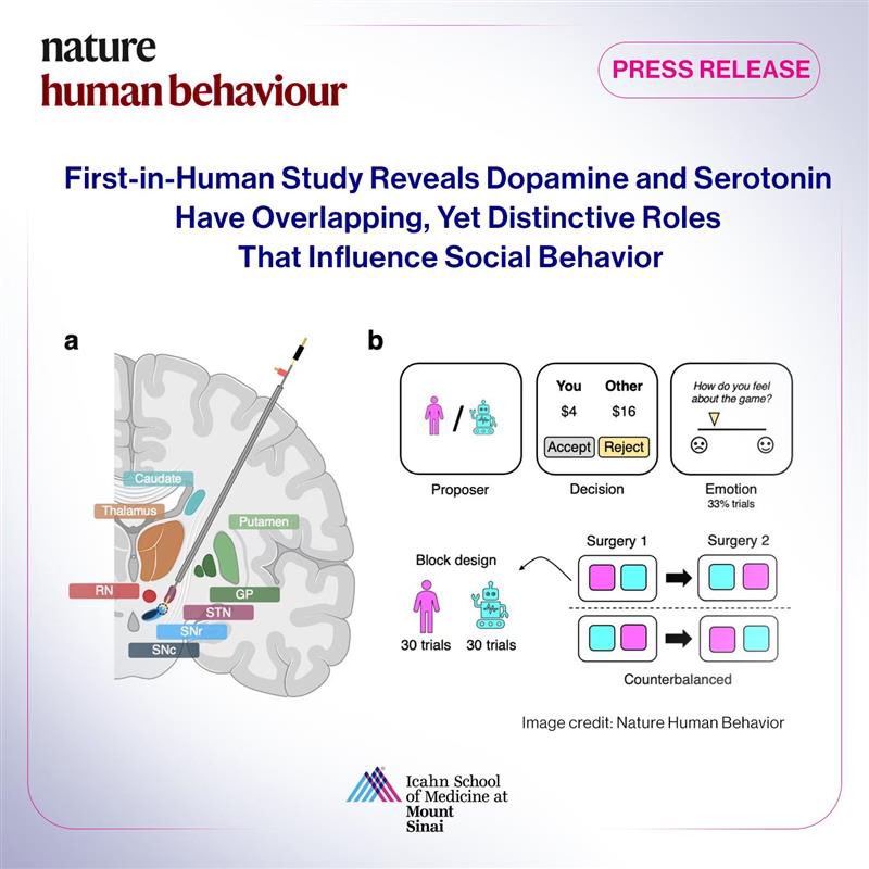 PRESS RELEASE! New research conducted by @xiaosigu & Brian Kopell, MD, in collaboration w/ an international team of researchers, reveals, for the first time, roles of the neurotransmitters #Dopamine & #Serotonin in human social behaviors. @NatureHumBehav