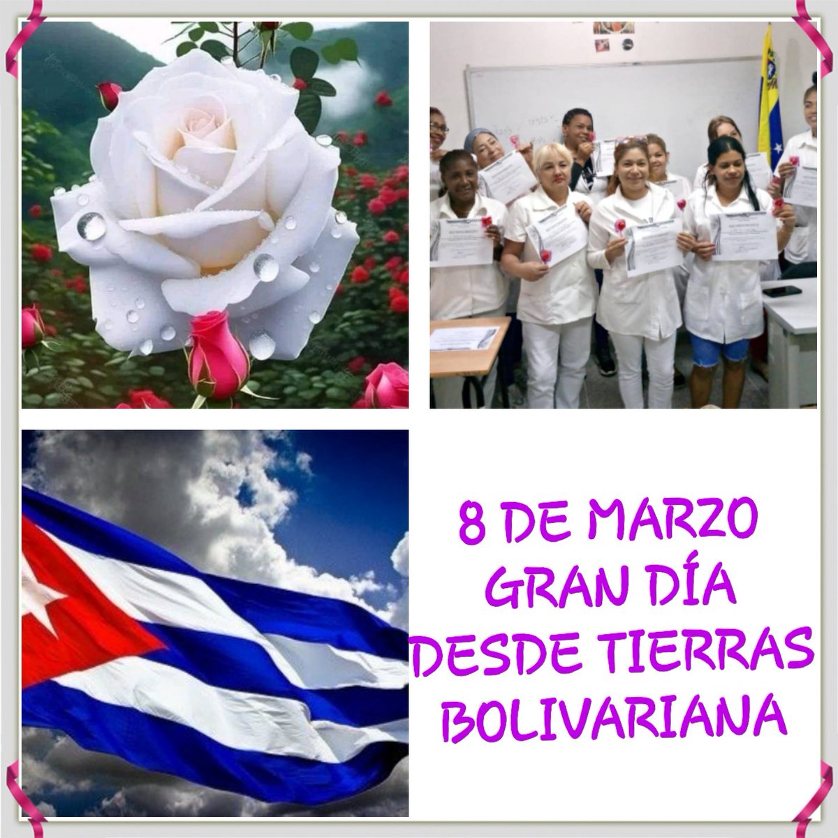 IsnagaLeonides's tweet photo. https://t.co/TCTk45Q9eq