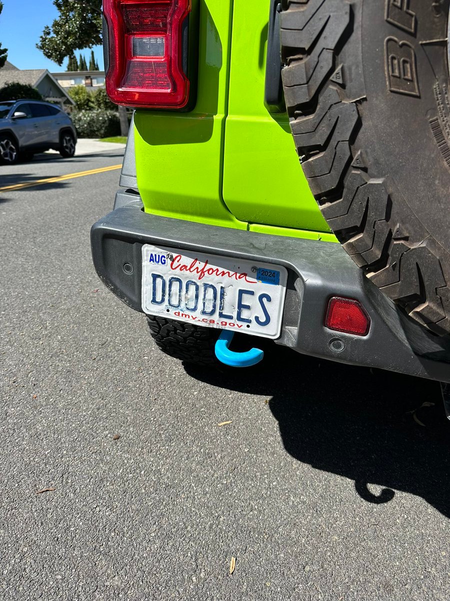 doodles are inevitable ... captured in the wild 

🌈🤮