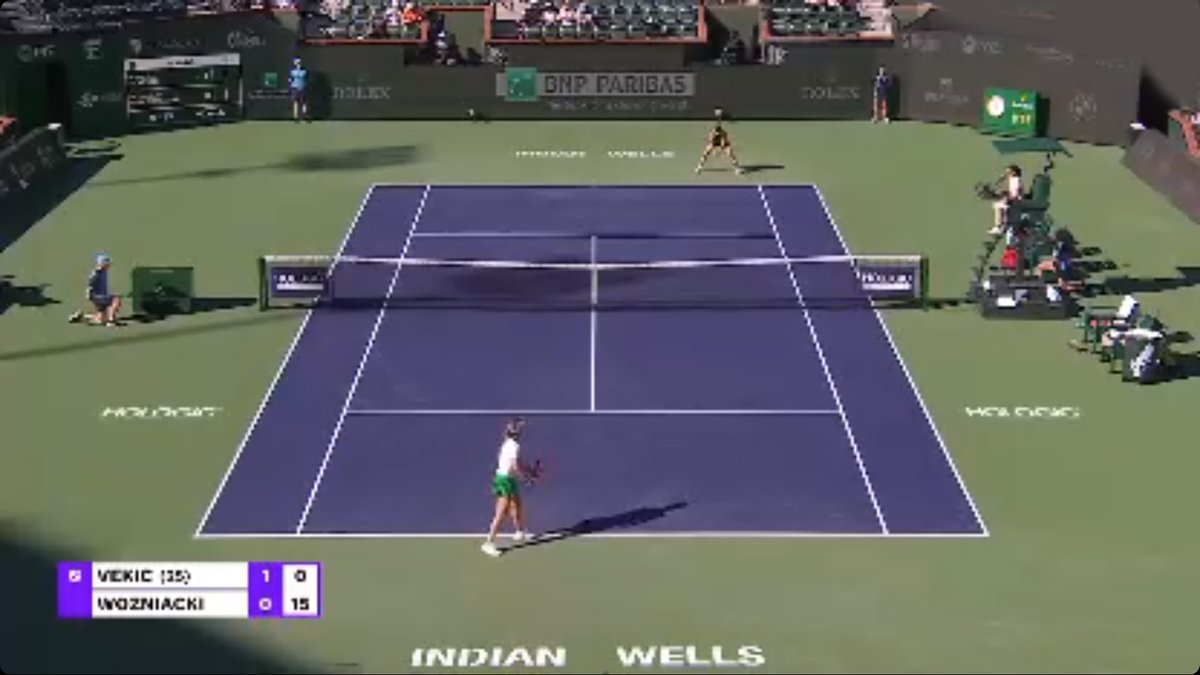 Donna Vekic Fan tweet media