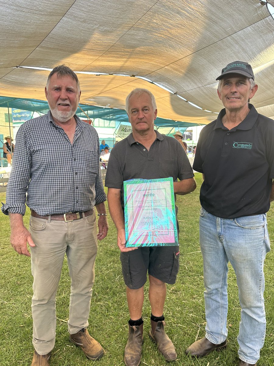 Merino WA tweet media