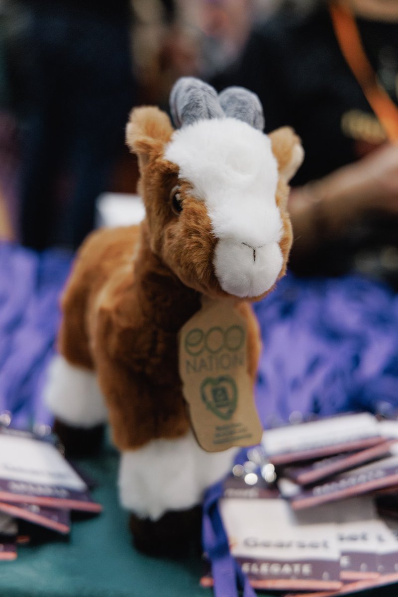 🐐 #goat #community