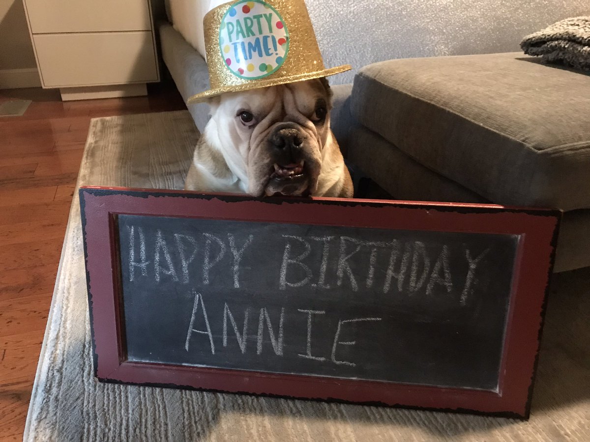 Happy Birthday Annie @Yorkie7 ….10 is AWESOME! 🥳🥳🥳🥳🎂🎂🎂🎂🎁🎁🎁🎁